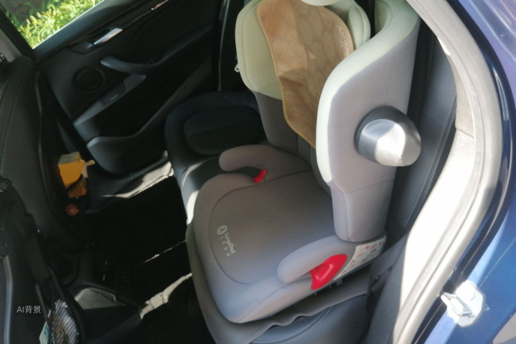 BMW X1 New Energy 2020 car image #19