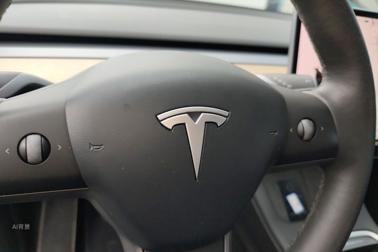 Tesla Model Y 2021 #13 Tesla Model Y 2021 car image #13