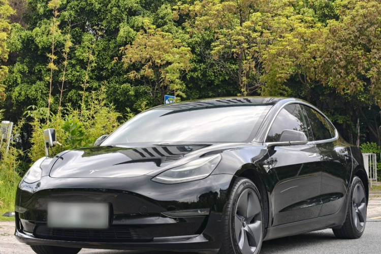 Tesla Model 3 2020 #2 Tesla Model 3 2020 car image #2