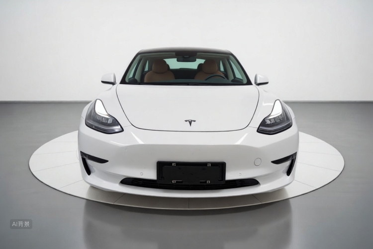 Tesla Model 3 2020 #3 Tesla Model 3 2020 car image #3