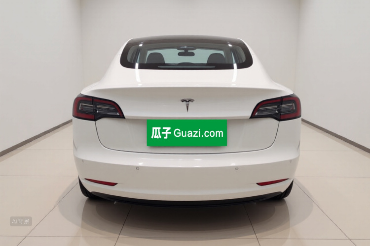Tesla Model 3 2020 #6 Tesla Model 3 2020 car image #6