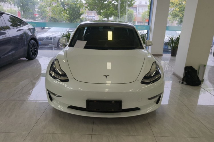 Tesla Model 3 2020 #3 Tesla Model 3 2020 car image #3