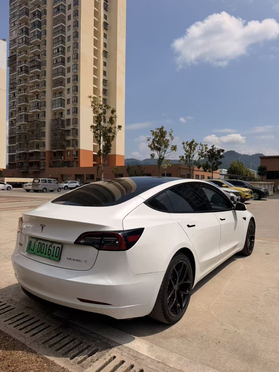 Tesla Model 3 2021 imagem de carro #5