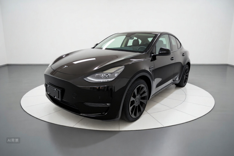 Tesla Model Y 2021 #2 Tesla Model Y 2021 car image #2
