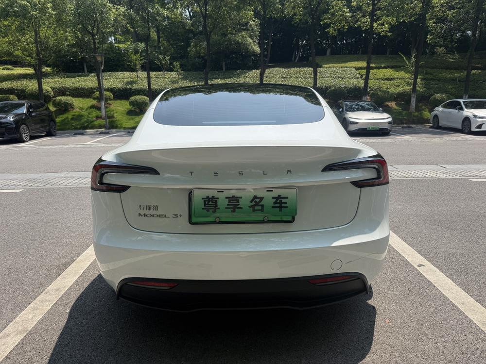 Tesla Model 3 2024 #5 Tesla Model 3 2024 car image #5