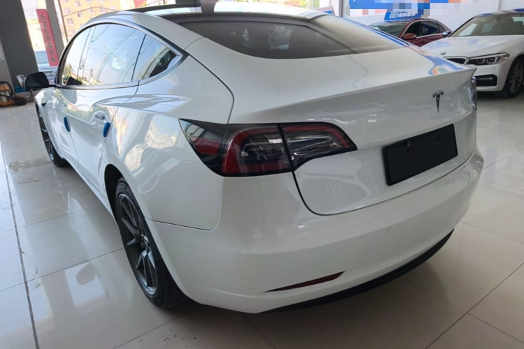Tesla Model 3 2021 #7 Tesla Model 3 2021 car image #7