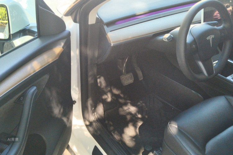 Tesla Model Y 2022 car image #18