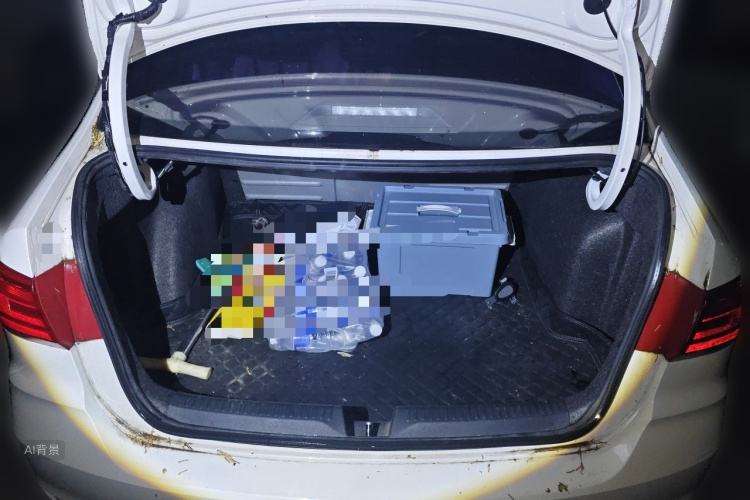 Volkswagen Santana 2020 car image #21