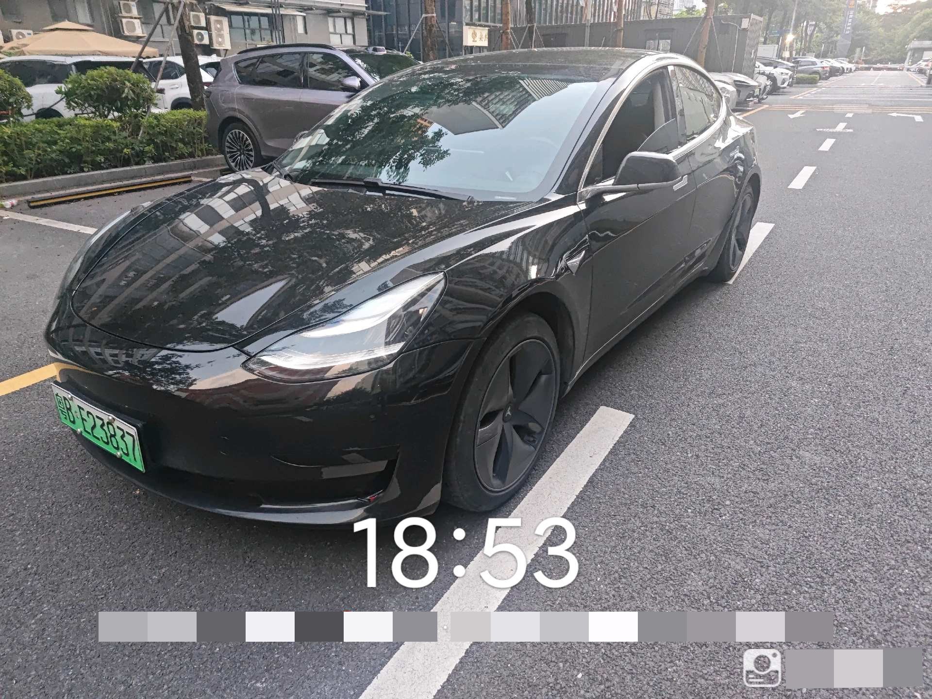 Tesla Model 3 2020 car image 