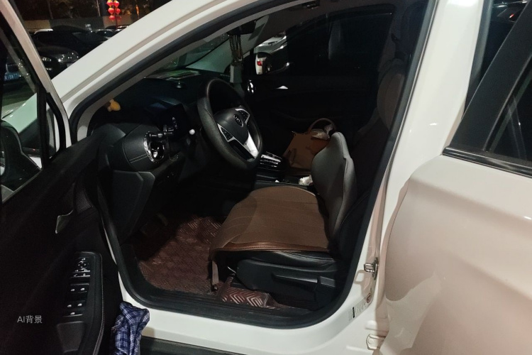 BYD Yuan New Energy 2020 car image #18