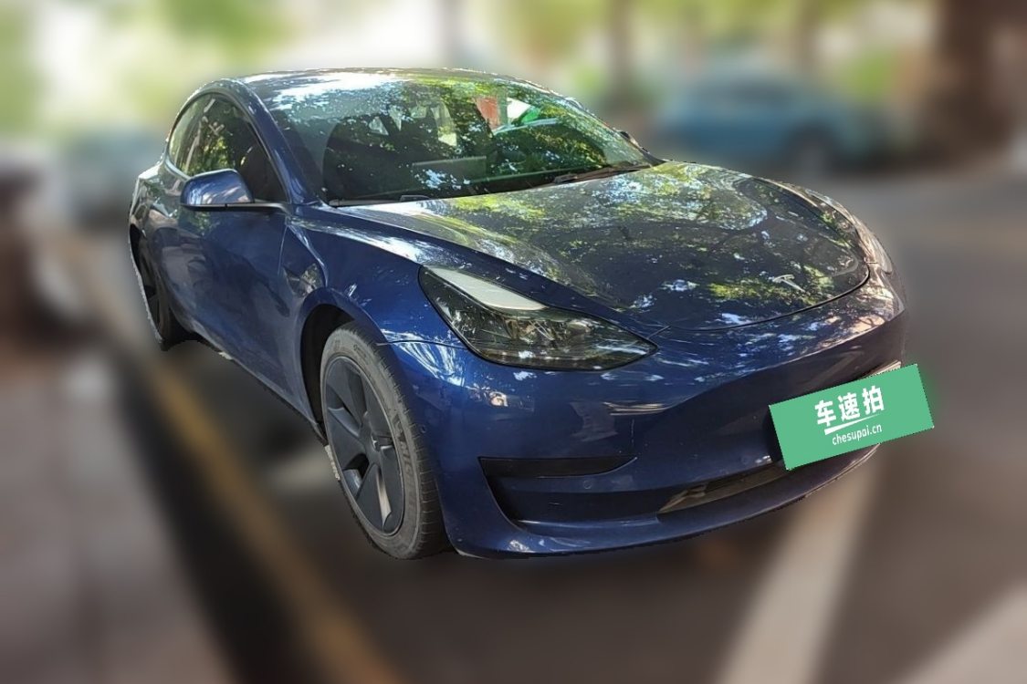 Tesla Model 3 2021 #2 Tesla Model 3 2021 car image #2