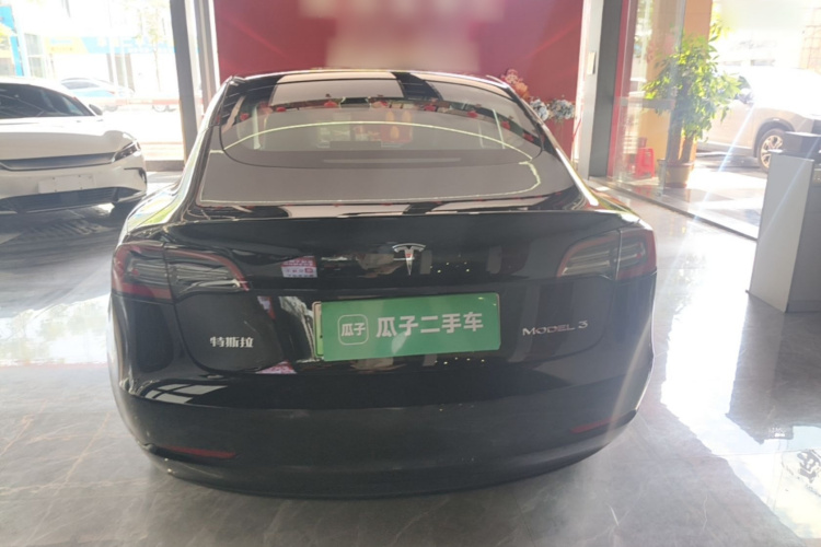 Tesla Model 3 2021 car image #6