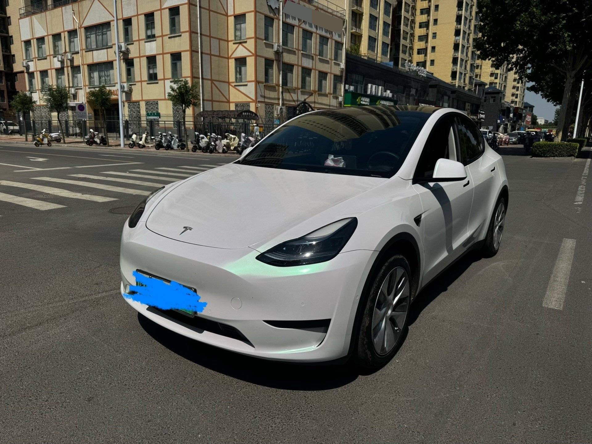 Tesla Model Y 2023 Tesla Model Y 2023 car image