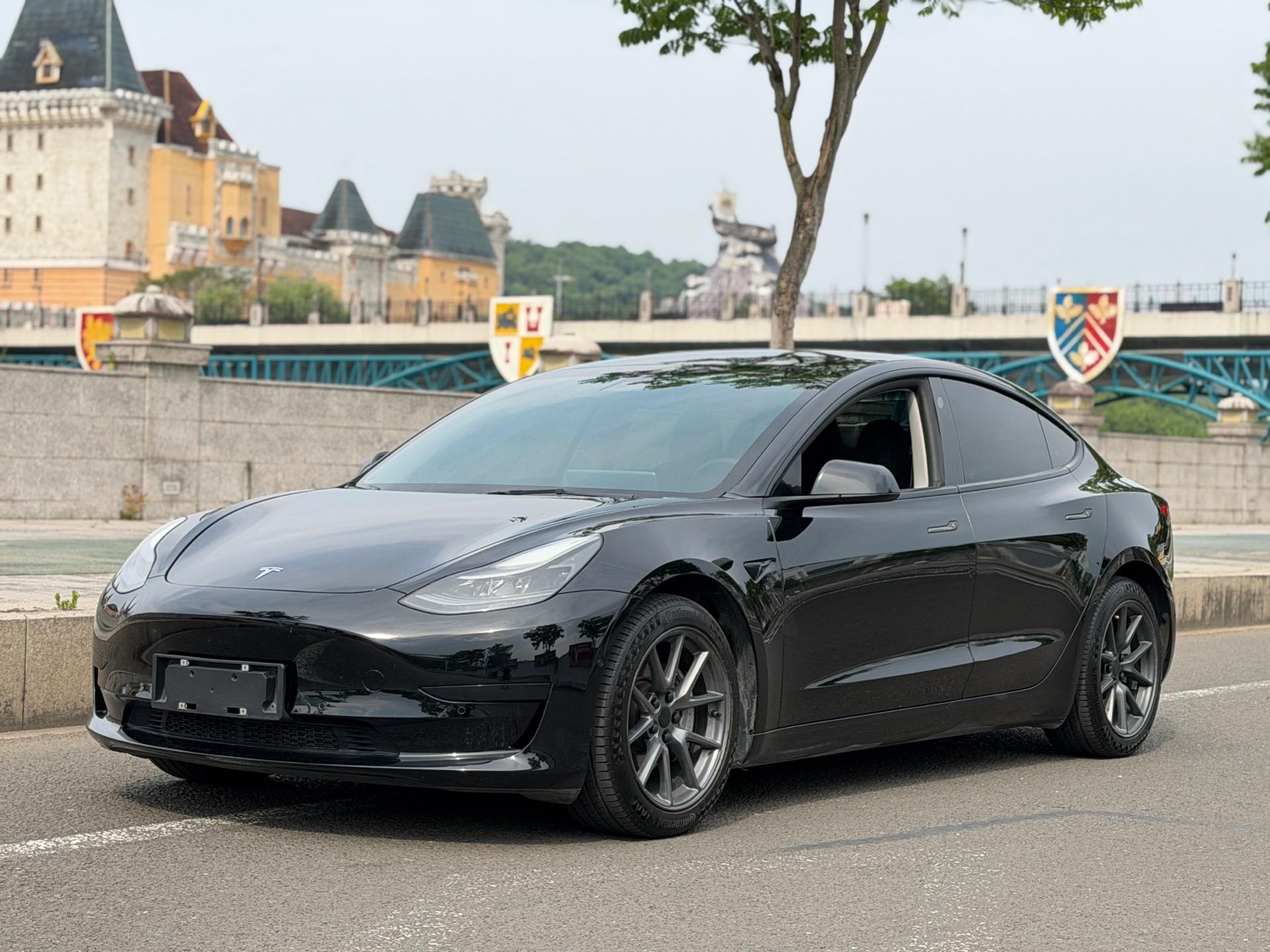 Tesla Model 3 2021 Tesla Model 3 2021 car image