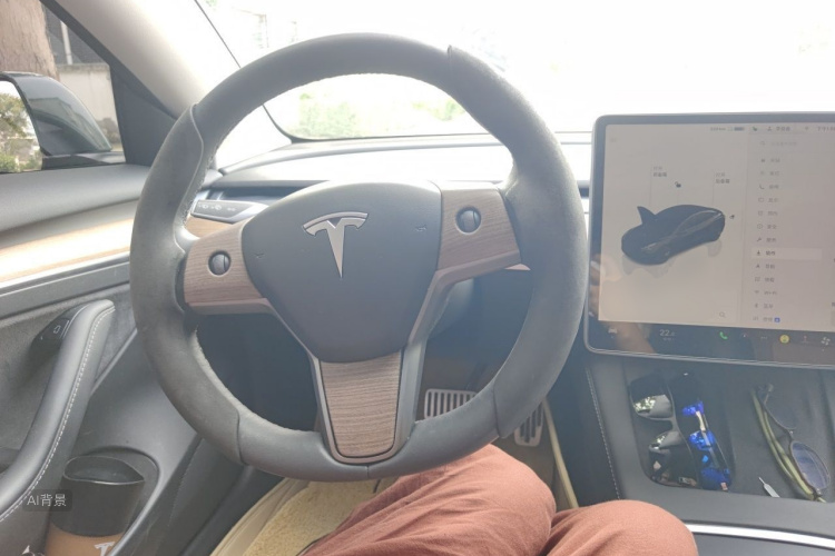 Tesla Model 3 2022 immagine di auto #12
