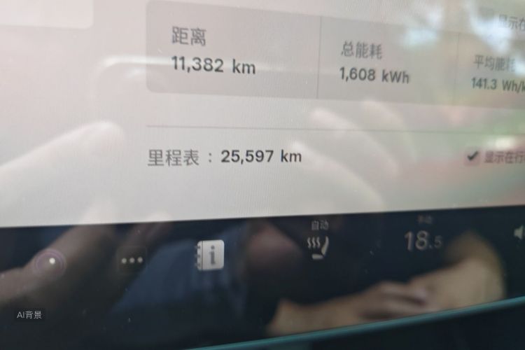 Tesla Model Y 2023 car image #14