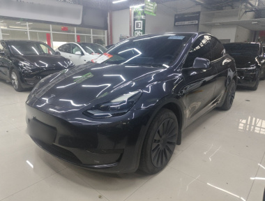 Tesla Model Y 2024 car image 