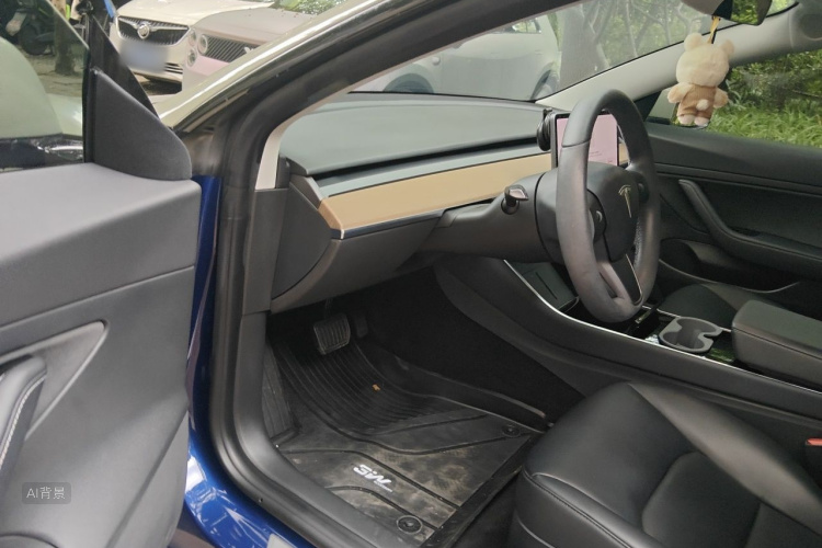 Tesla Model 3 2020 car image #18