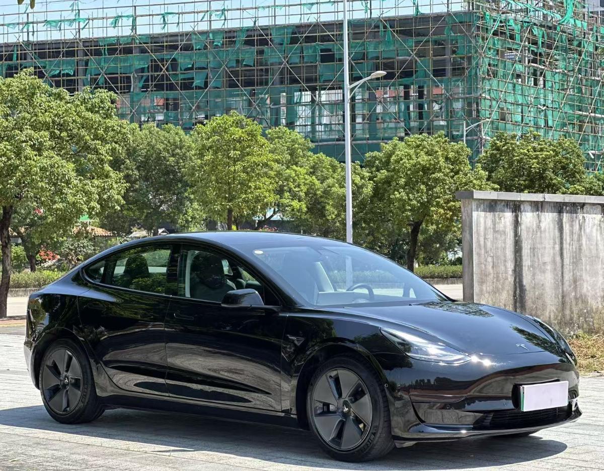 Tesla Model 3 2021 #3 Tesla Model 3 2021 car image #3