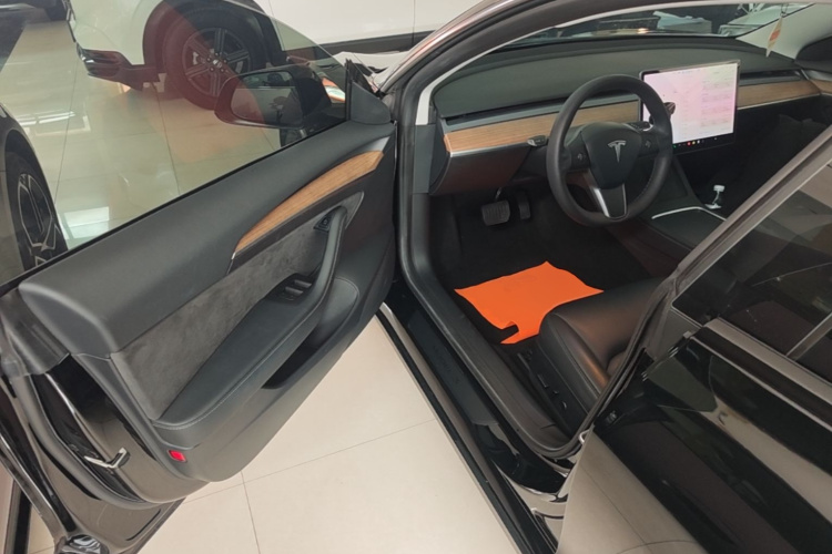 Tesla Model 3 2021 imagem de carro #16