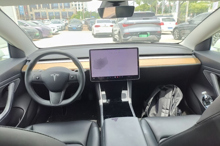 Tesla Model 3 2020 car image #10