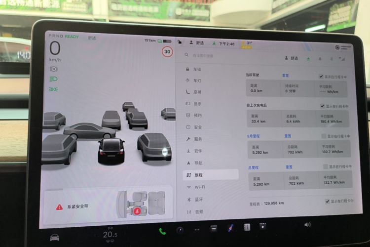 Tesla Model 3 2020 immagine di auto #12