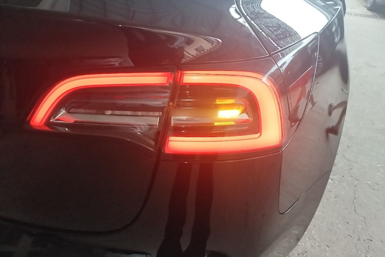 Tesla Model 3 2020 car image #8