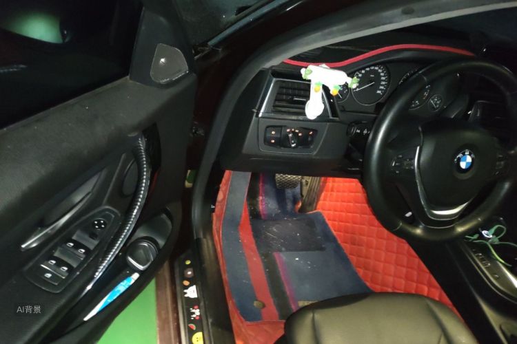 BMW 3 Series 2016 car image #18