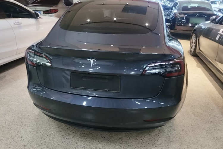 Tesla Model 3 2020 #6 Tesla Model 3 2020 car image #6