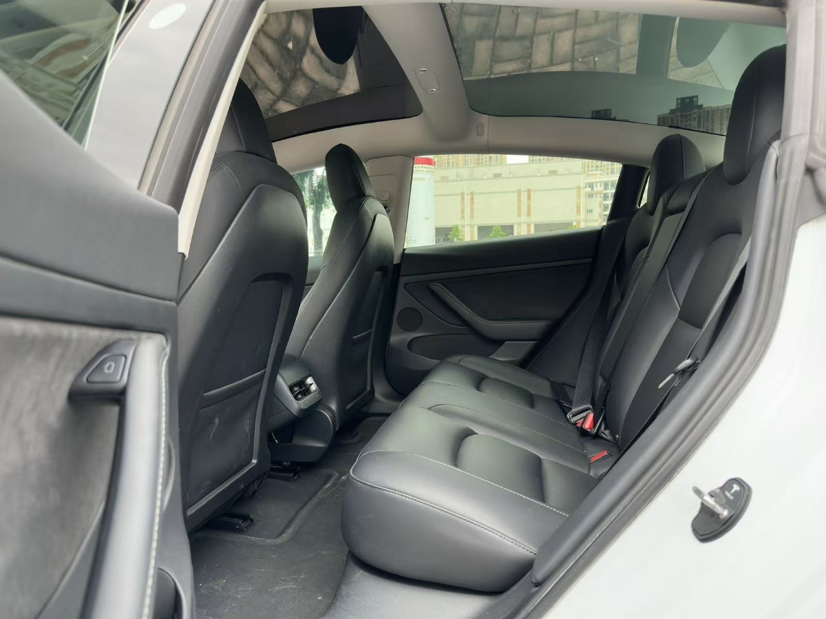 Tesla Model 3 2021 #5 Tesla Model 3 2021 car image #5