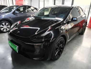 Tesla Model Y 2022 Tesla Model Y 2022 car image