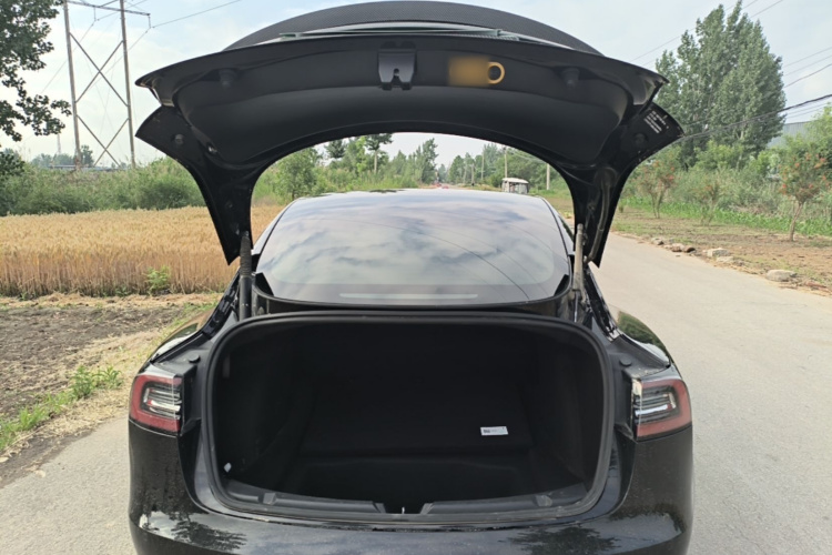 Tesla Model 3 2021 #19 Tesla Model 3 2021 immagine di auto #19
