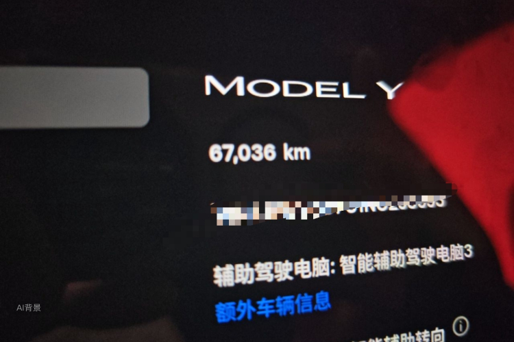 Tesla Model Y 2022 #14 Tesla Model Y 2022 car image #14
