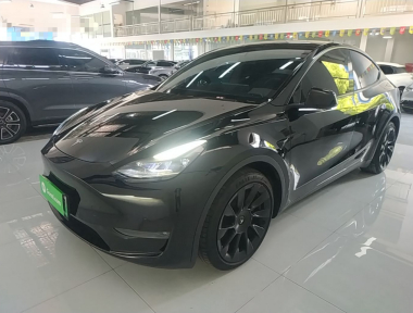Tesla Model Y 2021 Tesla Model Y 2021 car image