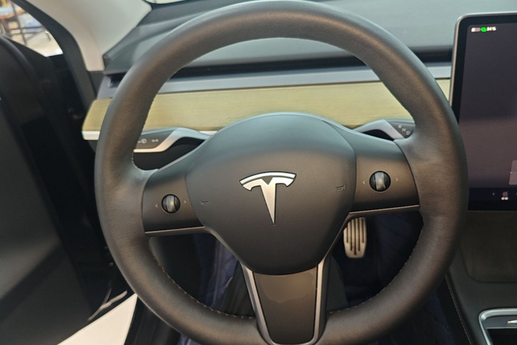 Tesla Model Y 2023 #11 Tesla Model Y 2023 car image #11