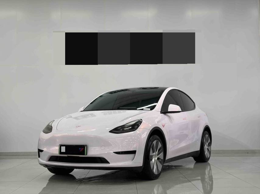 Tesla Model Y 2023 Tesla Model Y 2023 car image