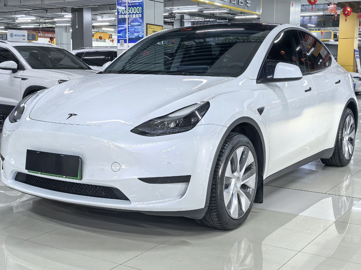 Tesla Model Y 2022 Tesla Model Y 2022 car image