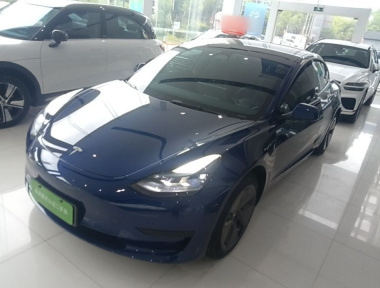 Tesla Model 3 2022 Tesla Model 3 2022 car image