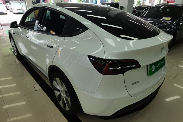 Tesla Model Y 2021 car image #5