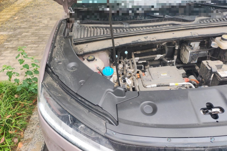 BYD YuanUP 2024 car image #27