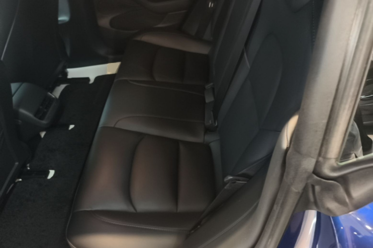 Tesla Model 3 2022 car image #17