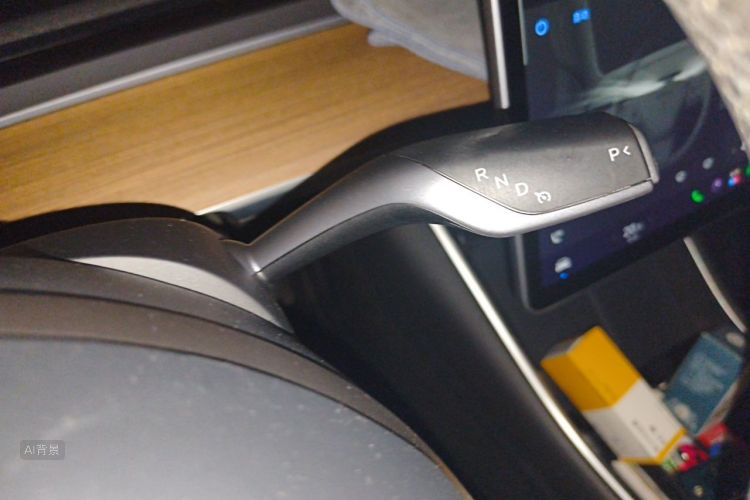 Tesla Model 3 2020 car image #16