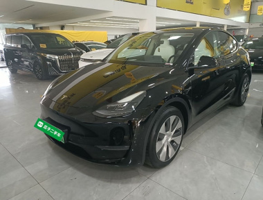 Tesla Model Y 2021 car image 