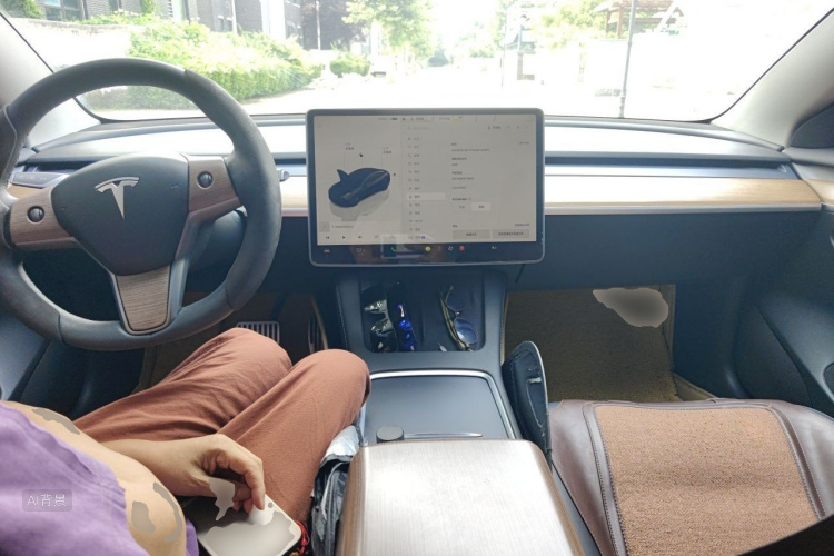 Tesla Model 3 2022 immagine di auto #11