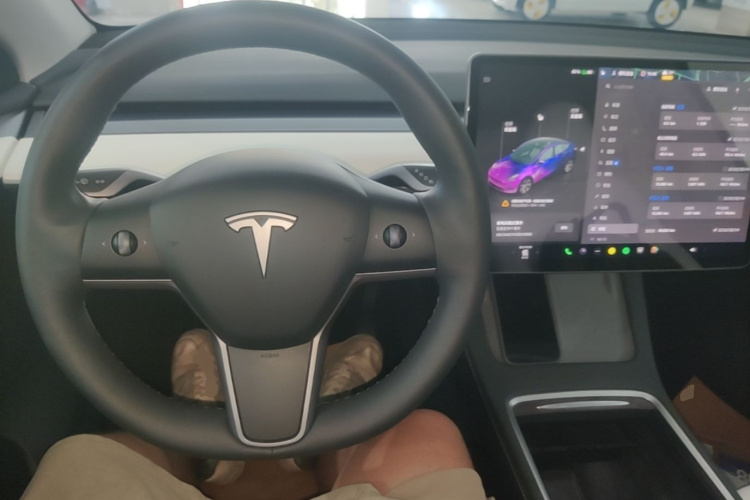 Tesla Model Y 2023 #10 Tesla Model Y 2023 car image #10
