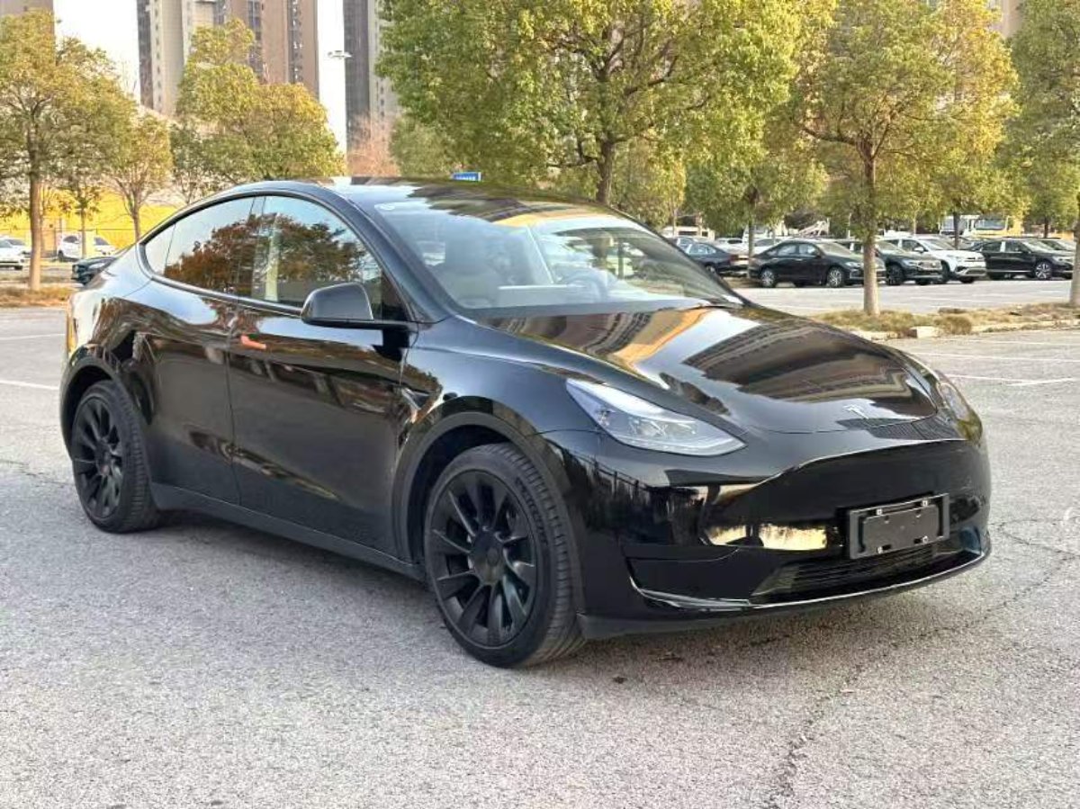 Tesla Model Y 2022 car image #2