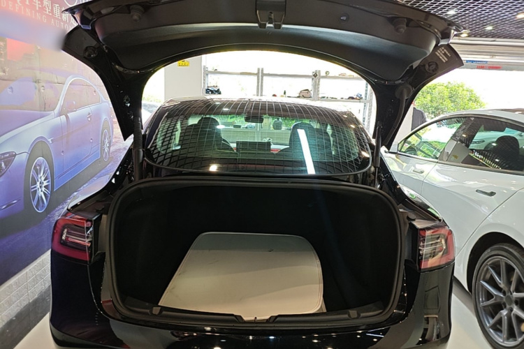 Tesla Model 3 2021 imagem de carro #27