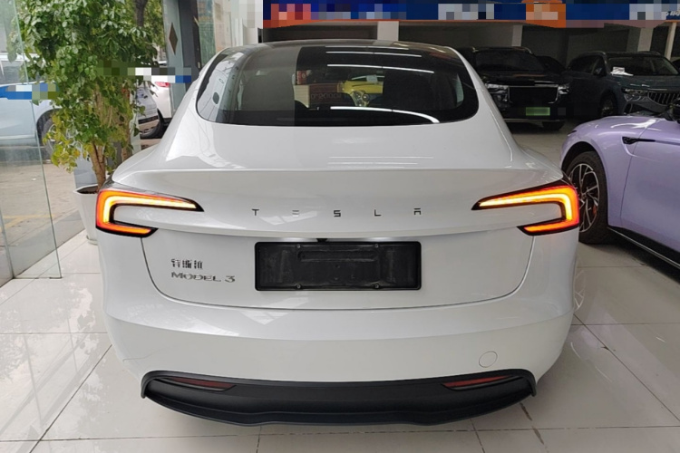 Tesla Model 3 2024 #6 Tesla Model 3 2024 car image #6
