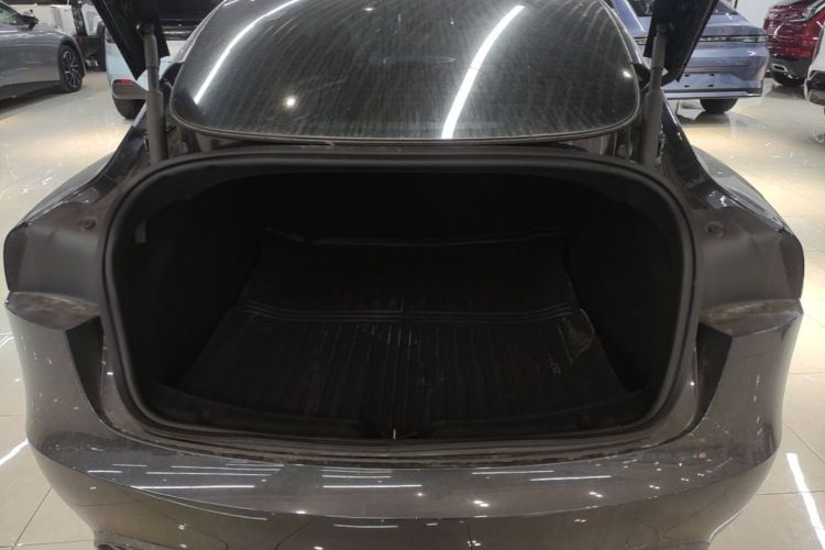 Tesla Model 3 2025 car image #19