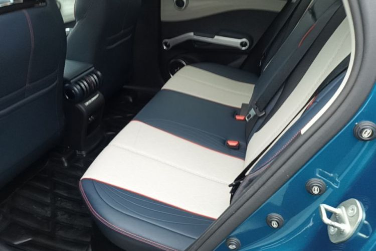 BYD Yuan Plus 2022 car image #17